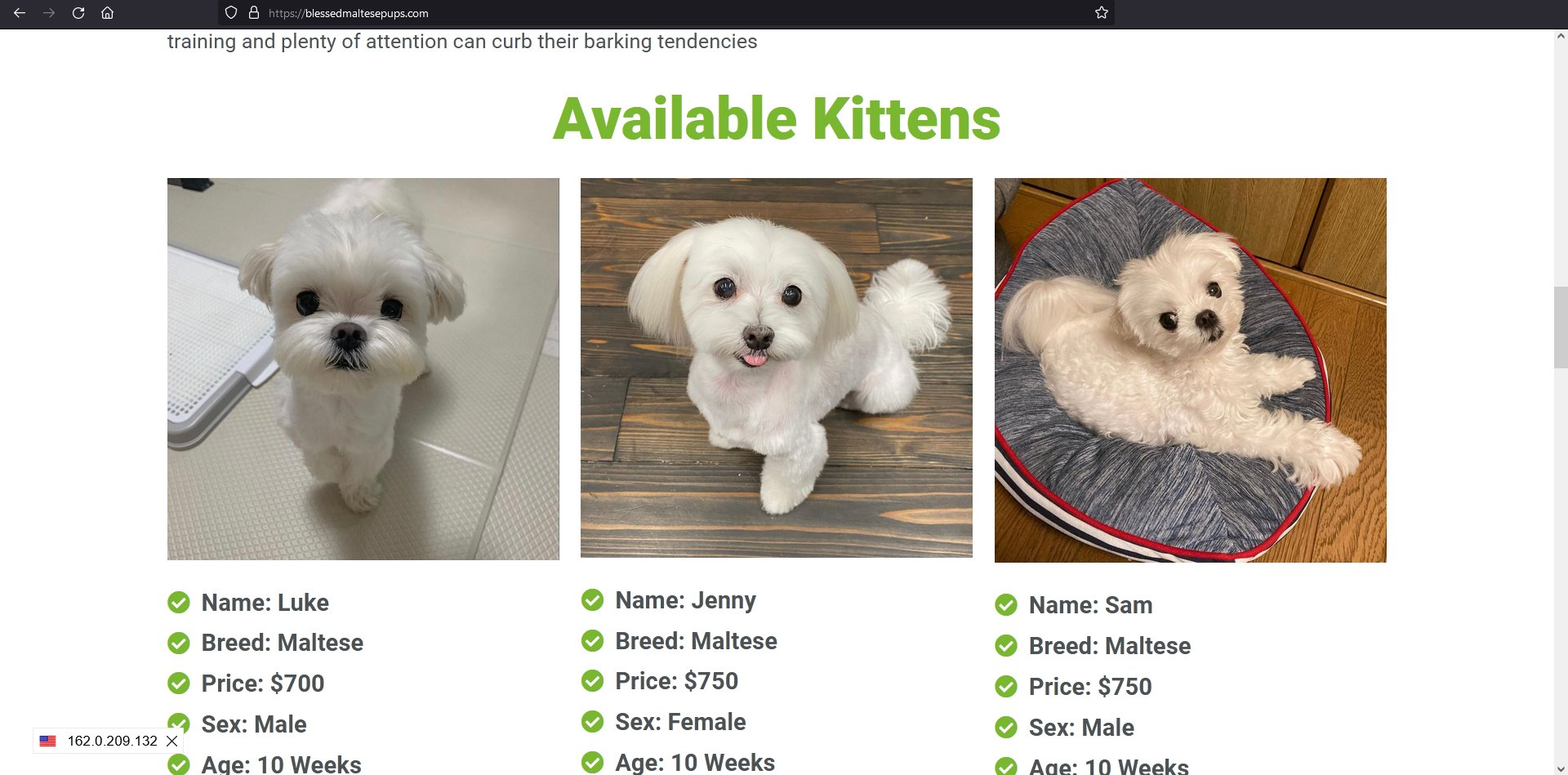 puppy scam
