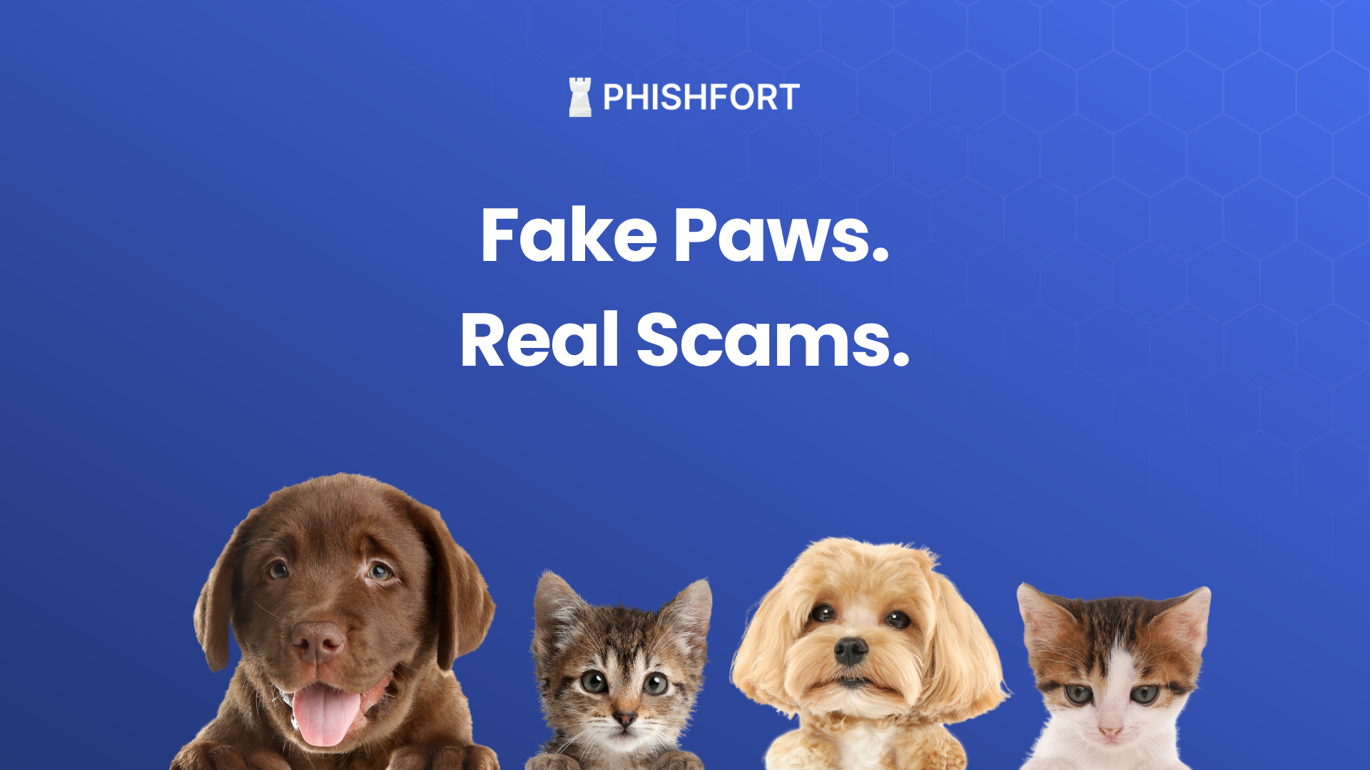 Fake Paws, Real Scams: How to Spot and Avoid Online Puppy Scams