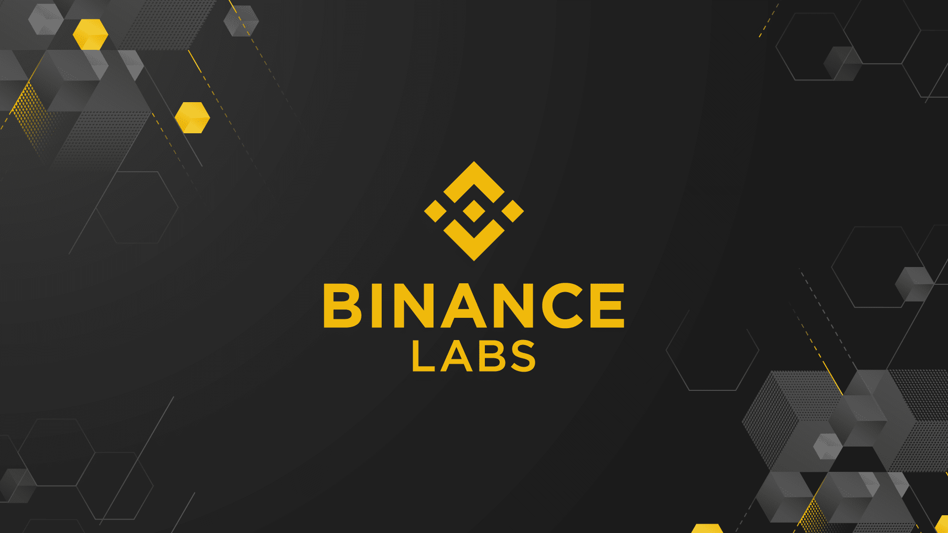 PhishFort and Binance Labs