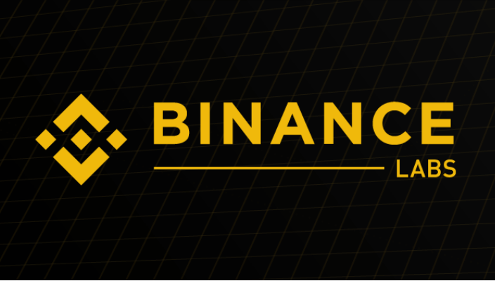 PhishFort Teams Up With Binance Labs