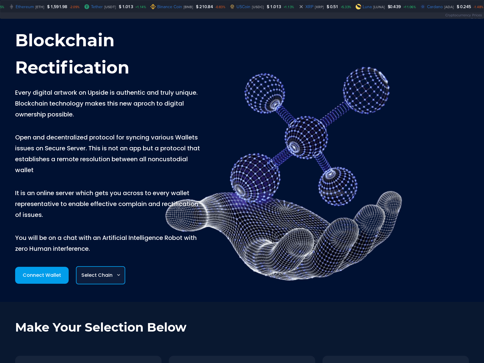 Fake crypto support page